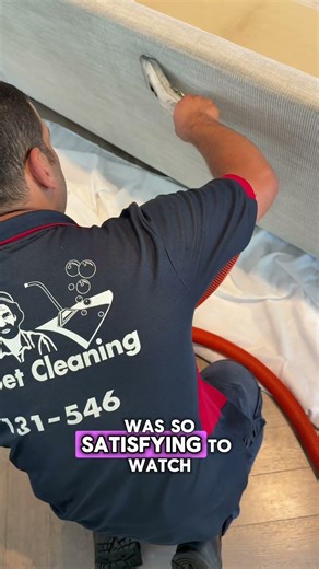 Couch Steam Cleaning Before & After | The Difference Is Wild