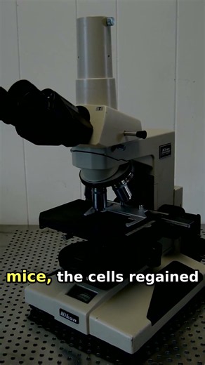 REJUVENATING AGING BRAIN CELLS | Scientists find a youth protein that helps aging brain cel #Shorts