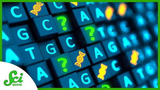 We hadn't sequenced the human genome until now | SciShow News