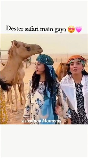 Dester safari main gaya 😍💗#sistrology