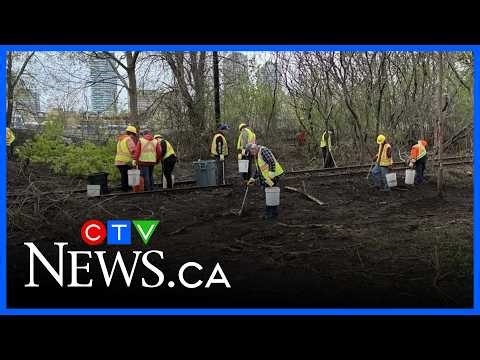 'A bomb': Concerns after Bayview encampment cleanup