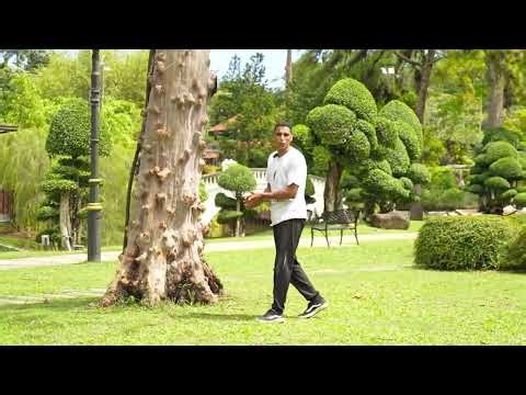 How to do a Cartwheel in 5 minutes