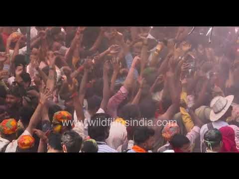 Vibrant Holi celebration with colors in Vrindavan Barsana