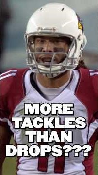 Larry Fitzgerald & The Craziest NFL Achievement Ever