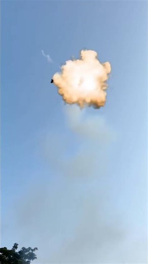 When Monkeys Play with Fireworks... 🍗 #shortvideo