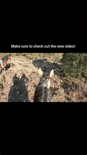 Would you guys have taken them or leave them?? Watch the full length video #explore
