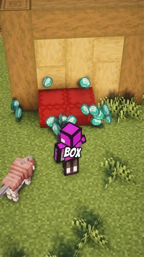 Hackers can Access your Ender Chest like this🫨 #minecraft #shorts