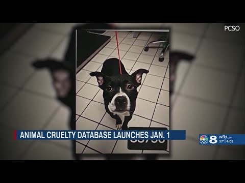 Dexter's law set to take effect after dog's killing sparked statewide push for change