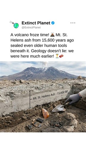 The volcanic time capsule! 🌋💊 #prehistoriclife #surprisingfacts #ancient #volcano xyz
