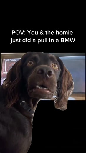 Is your BMW showing a "Drivetrain Malfunction" warning? ⚠️