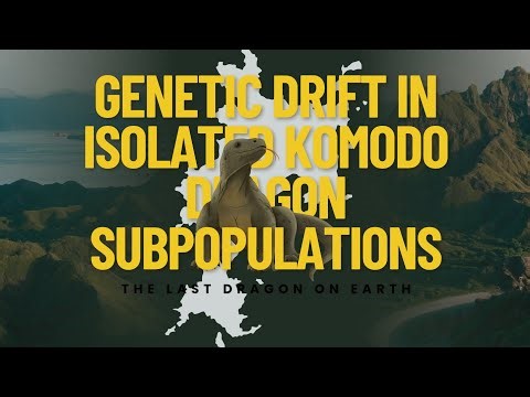 CBL: Genetic Drift in Isolated Komodo Dragon Subpopulations||Kelompok 4 Kelas A