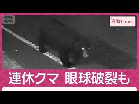 眼球破裂大ケガも…連休にクマ続出 京都“美山”うなぎ名店 気仙沼“爆走”独自映像(2026年10月11日)