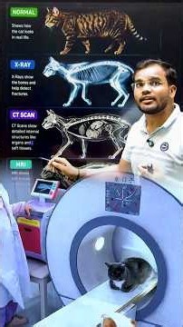 How body scanning works | #science #education #physics #learning #experiment