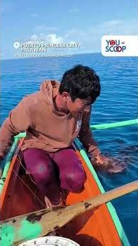 Nahuling pugita, kumapit sa mukha ng mangingisda sa Palawan | YouScoop+