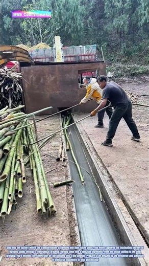 The Process of Bamboo Flour Production: From Raw to Refined