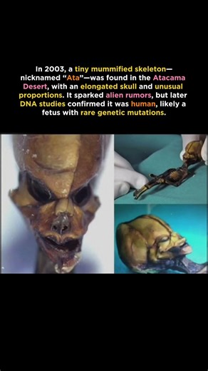 Ata Mummy: The “Alien” Skeleton Proven to Be Human