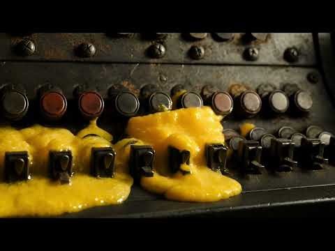 THE BIOLOGICAL COMPUTER EXPERIMENT