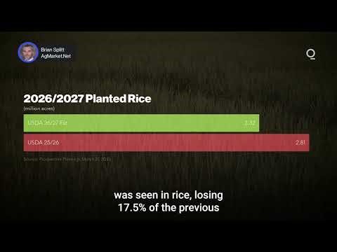 US Farmers Shift Focus for New Growing Season | Presented by CME Group