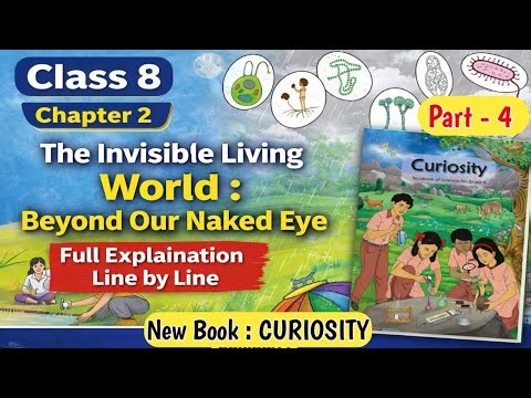 Class 8 Science Chapter 2 The Invisible Living World how are we connected to microbes ? Part 4
