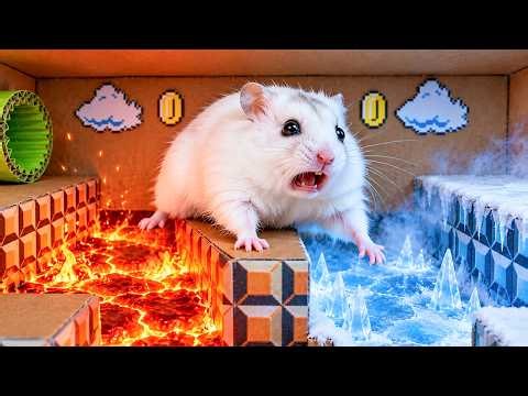 🛑LIVE: Hamster Escapes the Impossible Fire and Ice Maze Challenge in Real Life | Hamster Life