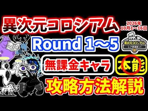 【にゃんこ大戦争】異次元コロシアム レア度選抜+1（2026年10月1日～16日開催）を無課金キャラで攻略！【The Battle Cats】