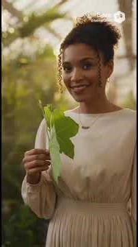 🎥🌿 Woman in the Lush Biopunk Forest — Hyper Real Cyborg Nature Fusion 🌌🤖✨