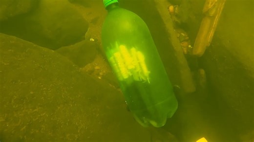 An unexpected alligator attack caught everyone off guard