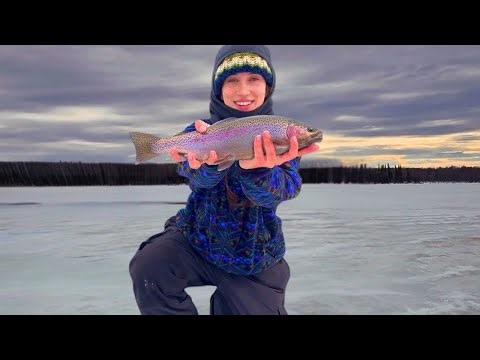Late Ice Fishing an Alberta Lake FULL of Giant Rainbow Trout 