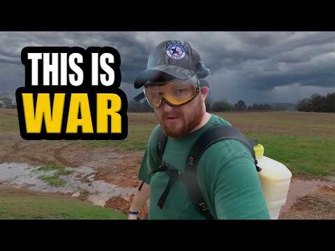 Battling Sandburs on Our Farm: We Had No Idea How Awful This Would Be