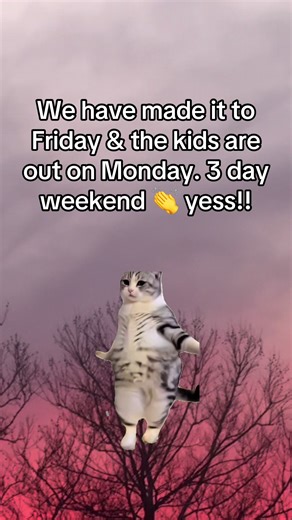 Celebrate the 3-Day Weekend with Memes