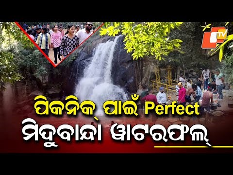 Midubanda Waterfall |ପିକନିକ ପାଇଁ ପରଫେକ୍ଟ - ମିଦୁବାନ୍ଦା ଜଳପ୍ରପାତ |Daringbadi