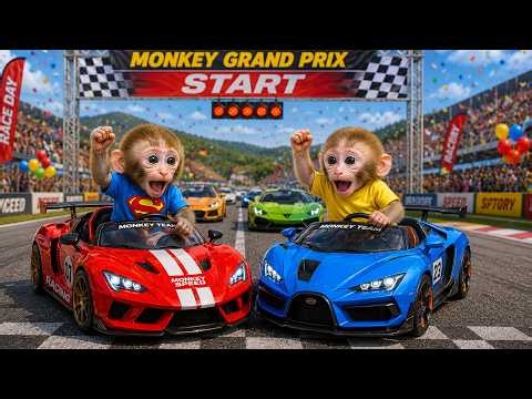 Monkey Baby vs Baby Monkey Racing Cars Championship| Nursery Rhymes & Kids Songs |Bobby Kids Songs