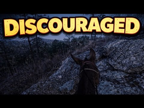 Mule Riding- Early MORNING 13 mile trail ride