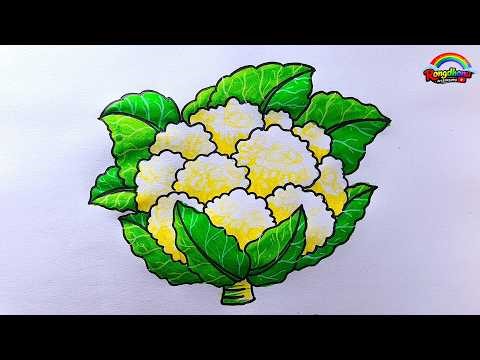Easy Cauliflower Drawing & Painting Step by Step | Fulkopi Drawing for Beginners