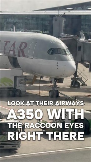 The Most Beautiful Plane? Qatar Airways A350 at Istanbul Airport! 😍