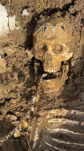 It could be the most interesting thing the metal detector finds. | Tomb Hunter