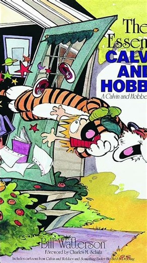 Calvin and Hobbes #nostalgia #book #nostalgic #90s #booktok