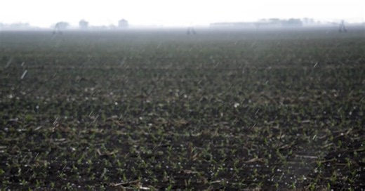 Inside the United States’ Billion-Dollar Blind Spot: Hail