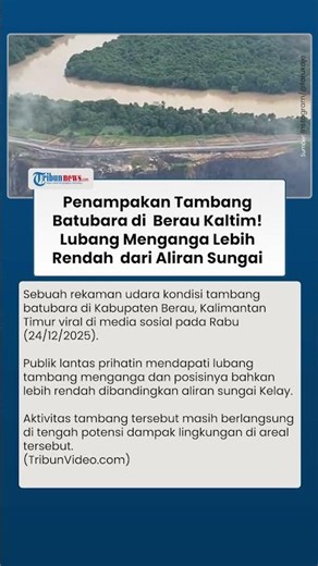 Penampakan Tambang Batubara di Berau Kaltim! Lubang Menganga Lebih Rendah dari Aliran Sungai