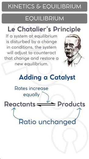 How Does A Catalyst Affect Equilibrium? #chemistry #equilibrium #alevels #gcse #science
