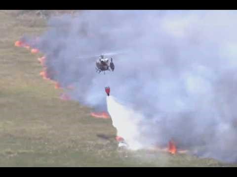 Wildfires Across Georgia and Florida Have Destroyed Nearly 50 Homes and Are Forcing Evacuations