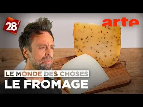 David Castello-Lopes s’intéresse… au fromage | 28 minutes | ARTE