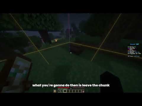 Minecraft Java Dupe Glitch | 1.21 - 1.21.11 | Working on ALL Servers