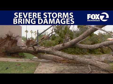 Severe weather brings damages | West Coast Wrap