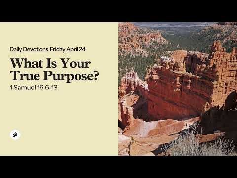 What Is Your True Purpose? – Daily Devotional