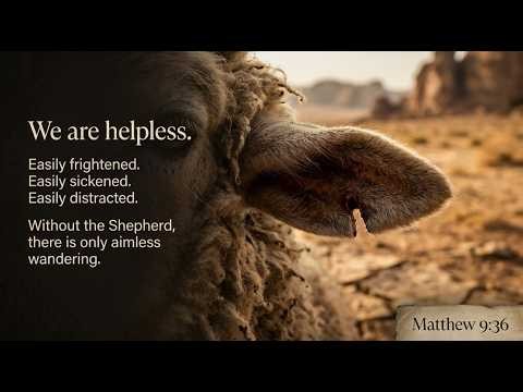 THE VALLEY GUIDE--Following Jesus as My Good Shepherd in the Hard Times of Life