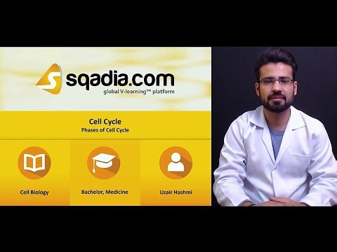 Cell Cycle | Phases Of Cell Cycle
