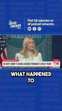 Karoline Leavitt delivers incoherent rant about Raskin #shorts