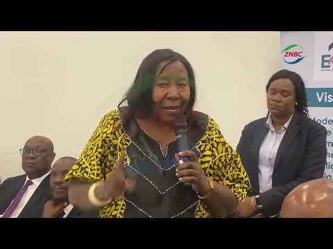 Not All Districts to Gain Constituencies - ECZ