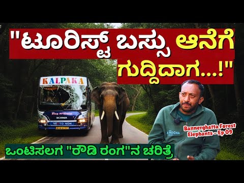 🐘🔥"ಒಂಟಿಸಲಗಕ್ಕೆ ಗುದ್ದಿದ ಟೂರಿಸ್ಟ್ ಬಸ್ಸು!-ರೌಡಿ ರಂಗ ಆನೆ ಏನಾಯ್ತು?"🔥-E09-Bannerghatta-Arocha-Kalamadhyama